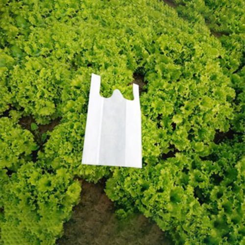 bag10